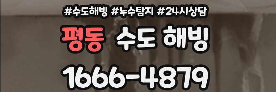 평동 수도 해빙