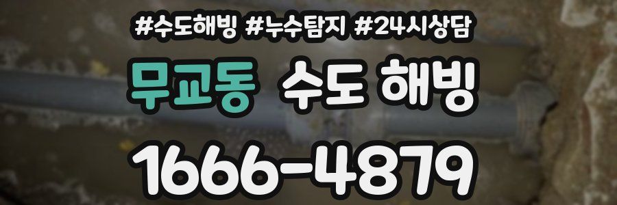 무교동 수도 해빙