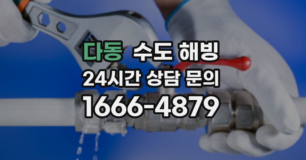 다동 수도 해빙