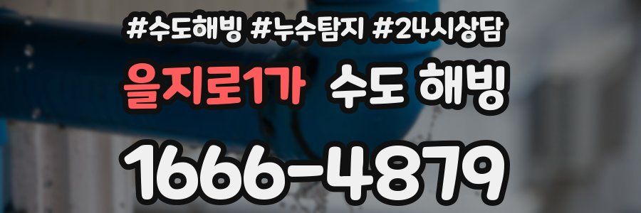 을지로1가 수도 해빙
