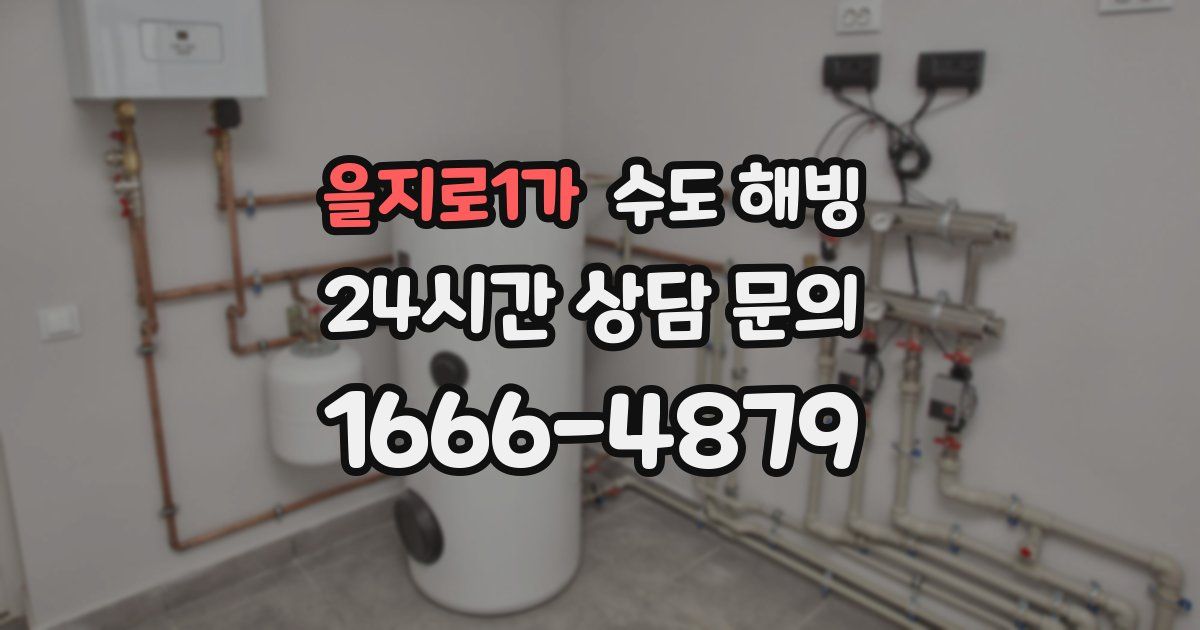 을지로1가 수도 해빙