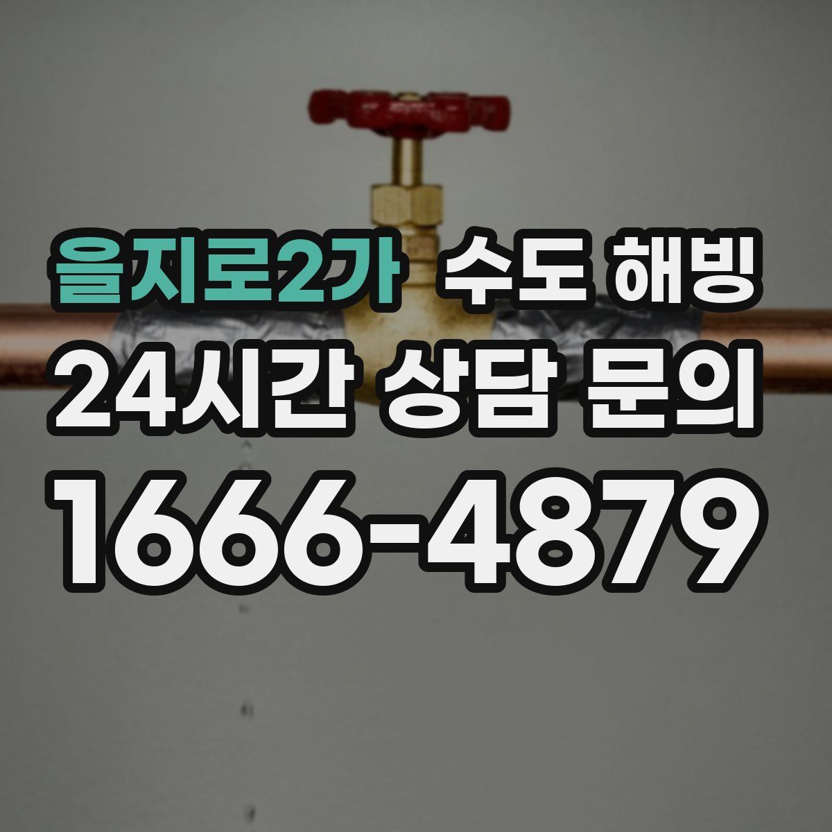 을지로2가 수도 해빙