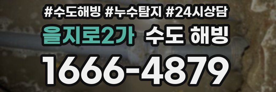 을지로2가 수도 해빙