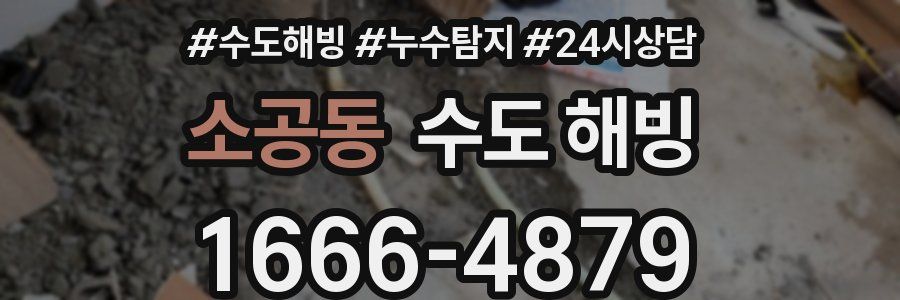 소공동 수도 해빙
