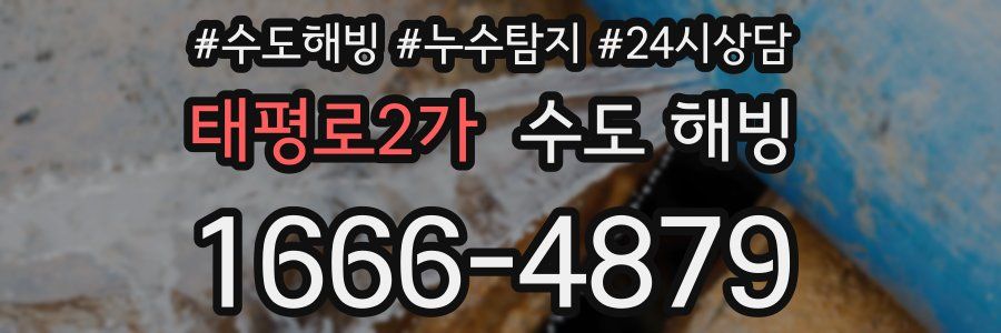 태평로2가 수도 해빙