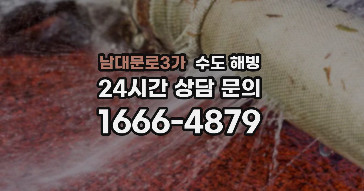 남대문로3가 수도 해빙