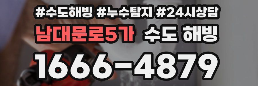 남대문로5가 수도 해빙