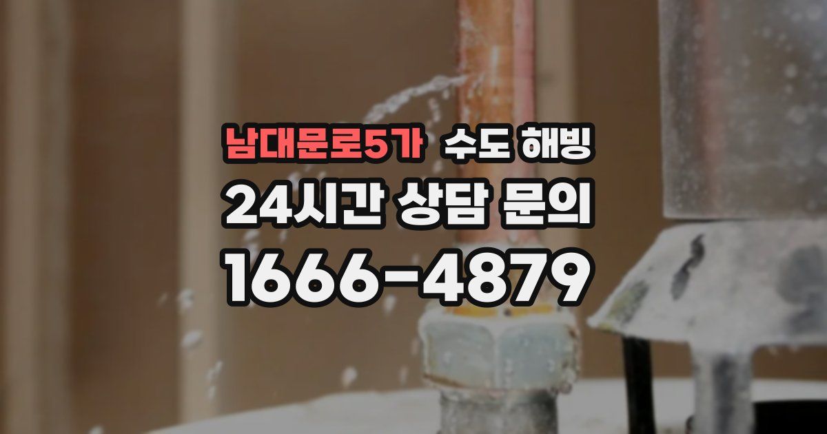 남대문로5가 수도 해빙