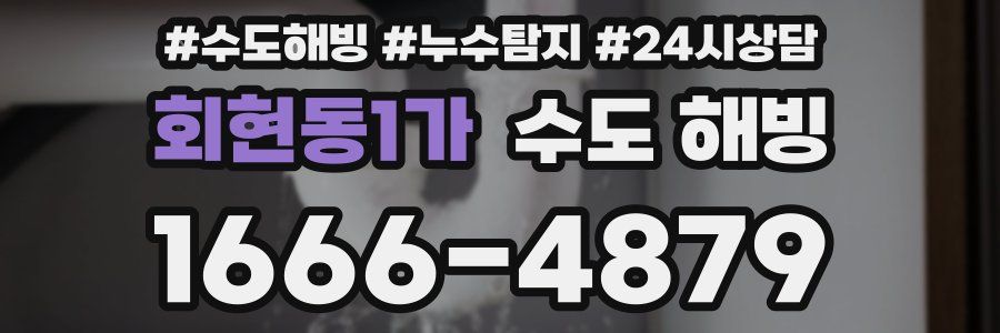 회현동1가 수도 해빙