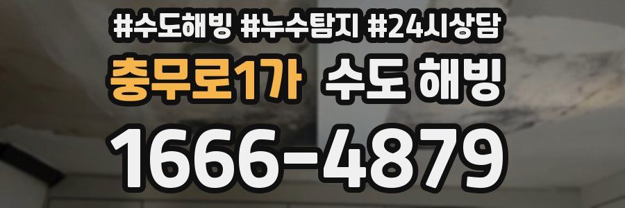 충무로1가 수도 해빙