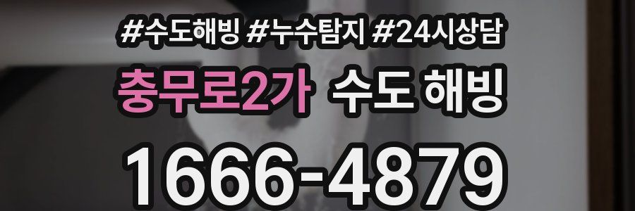 충무로2가 수도 해빙