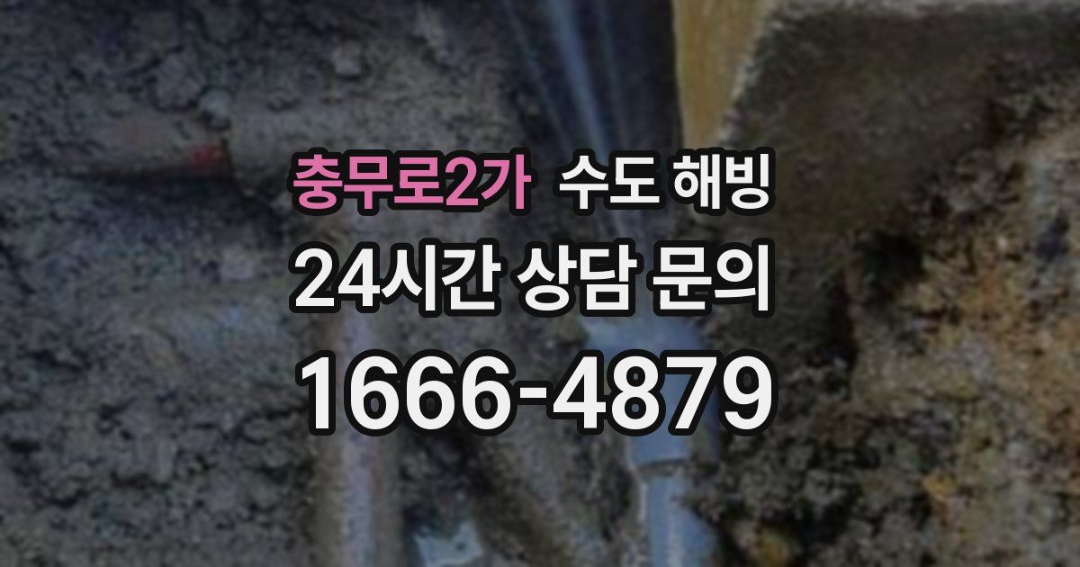 충무로2가 수도 해빙