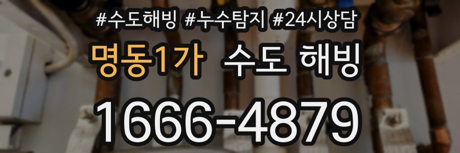 명동1가 수도 해빙