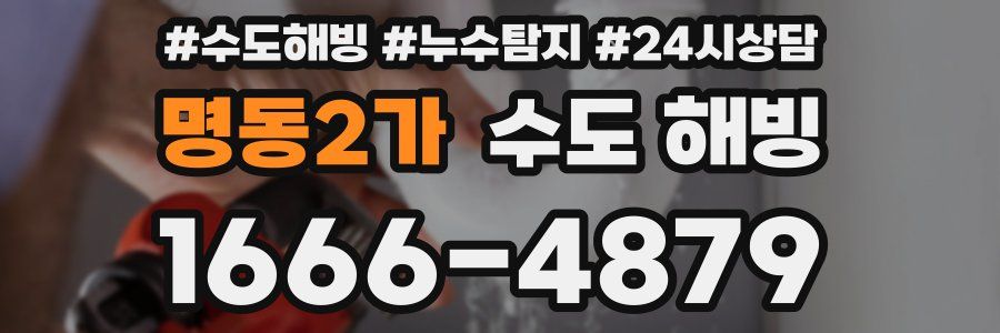 명동2가 수도 해빙