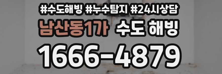 남산동1가 수도 해빙