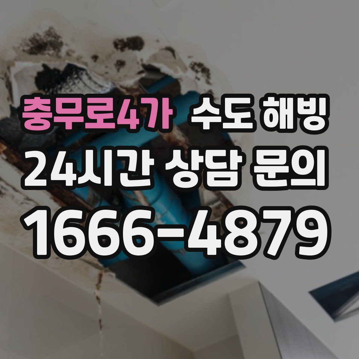 충무로4가 수도 해빙