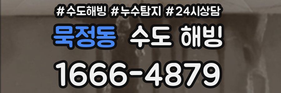 묵정동 수도 해빙