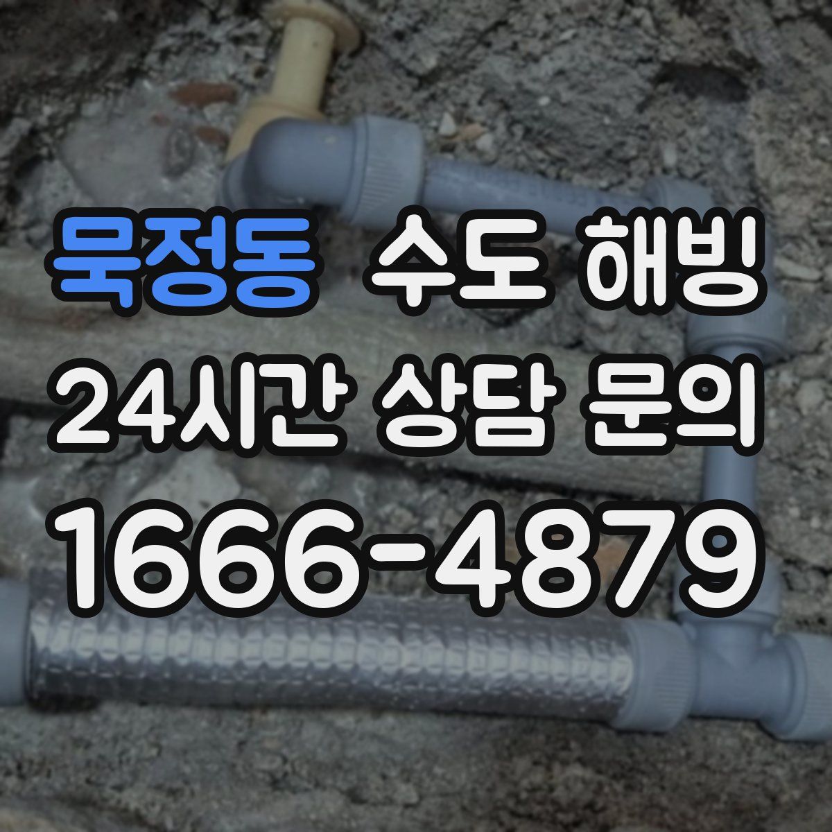 묵정동 수도 해빙