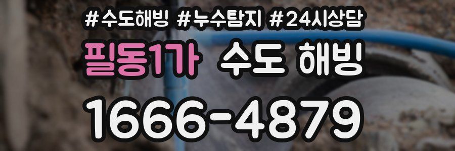 필동1가 수도 해빙