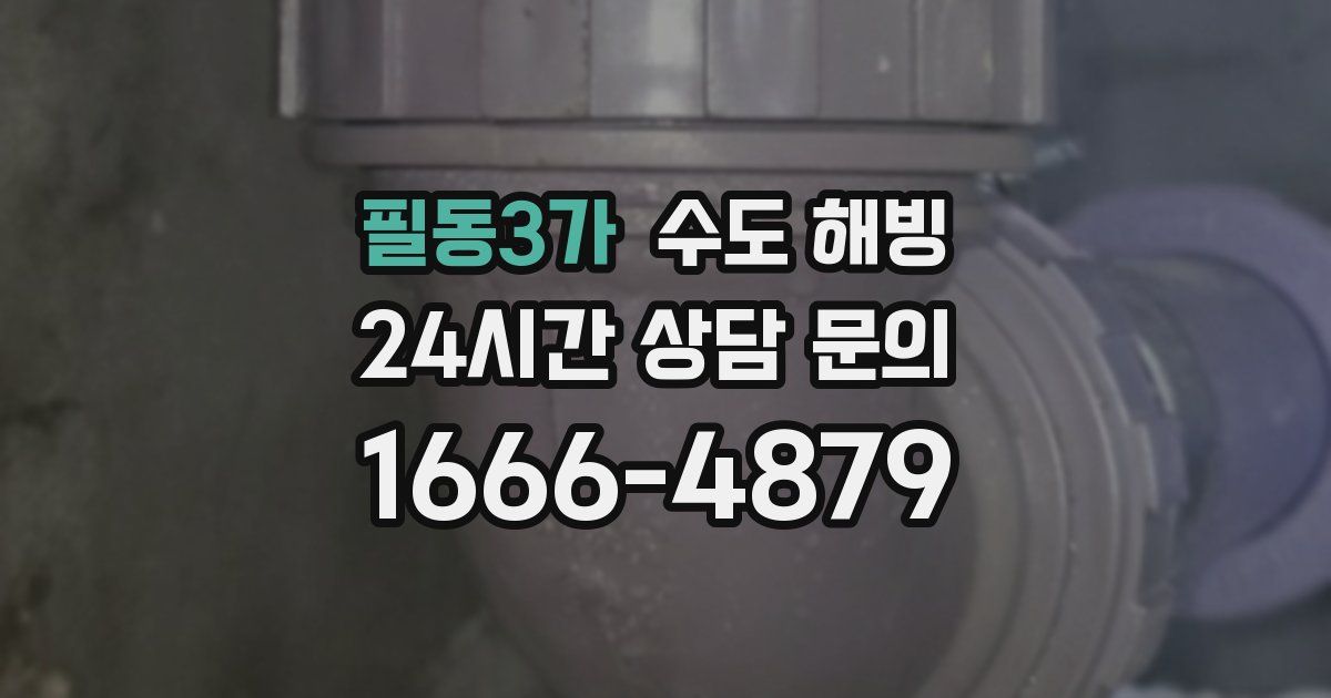 필동3가 수도 해빙