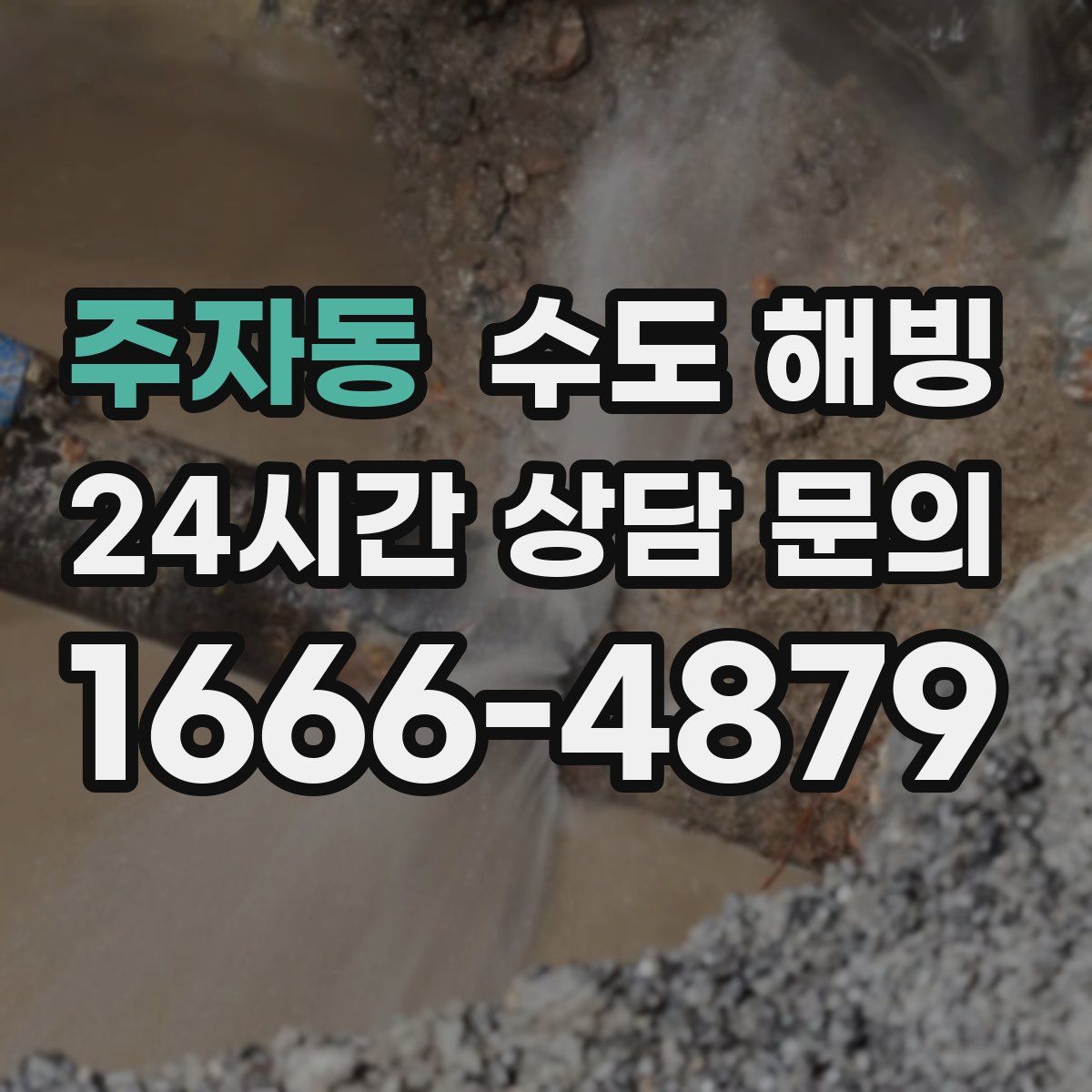 주자동 수도 해빙