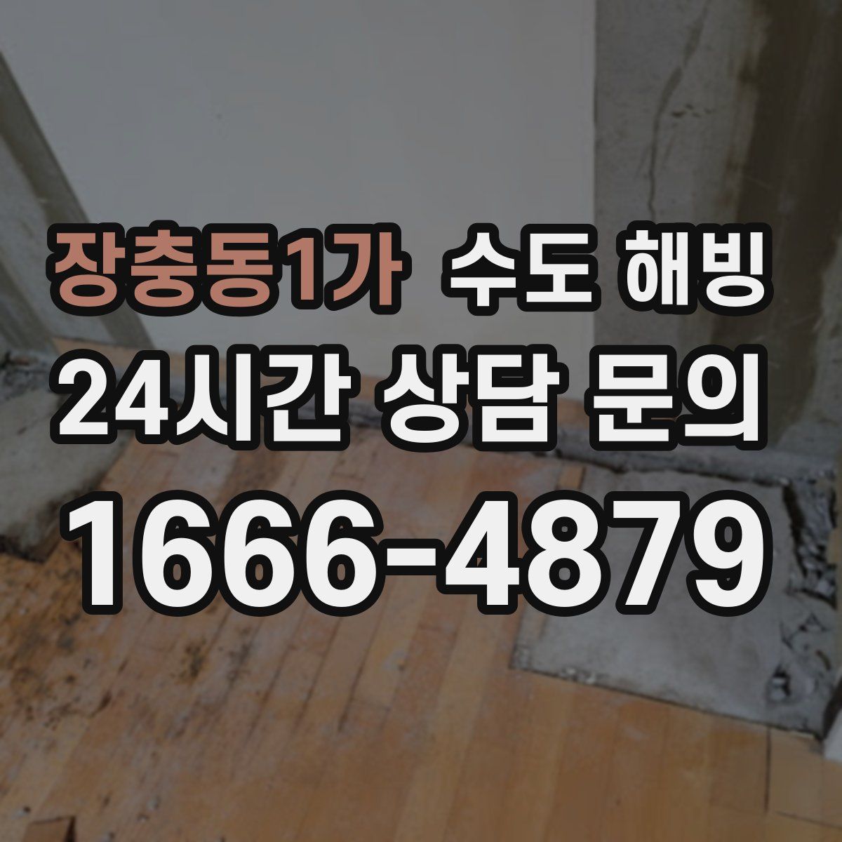 장충동1가 수도 해빙