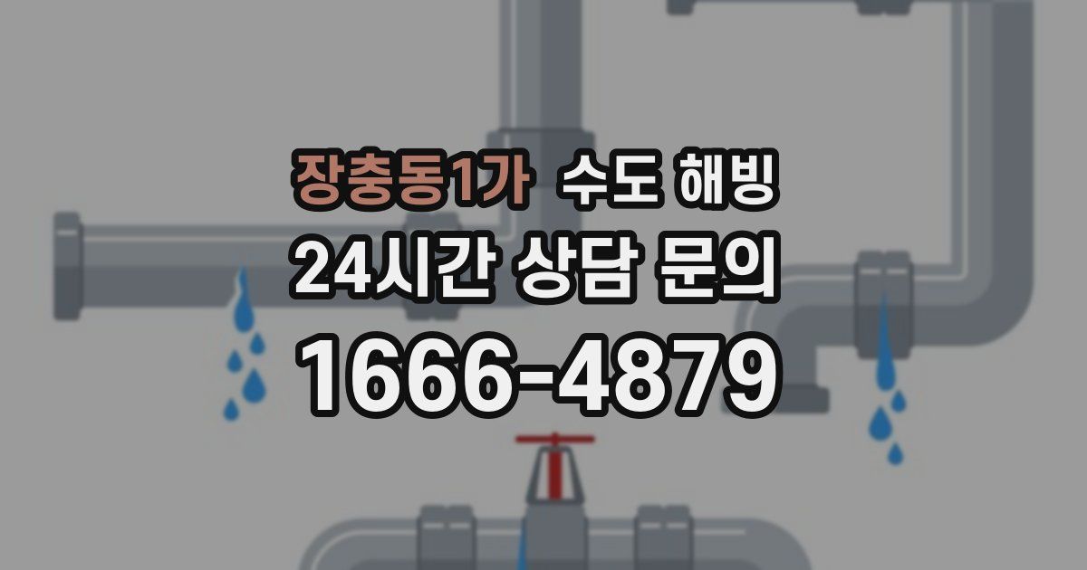 장충동1가 수도 해빙