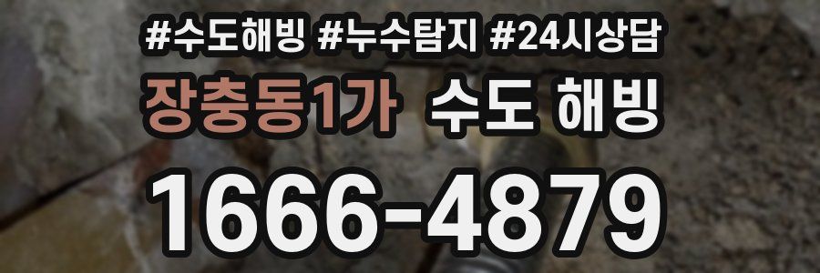 장충동1가 수도 해빙