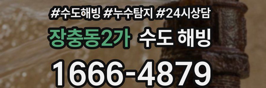 장충동2가 수도 해빙