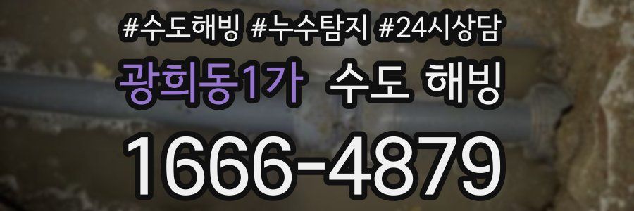 광희동1가 수도 해빙