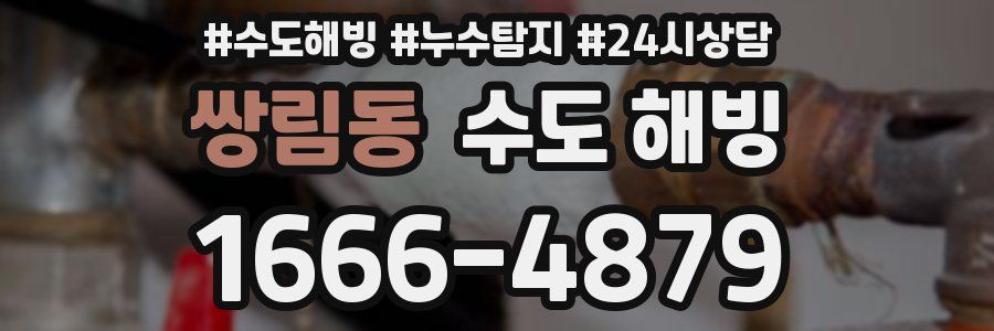 쌍림동 수도 해빙