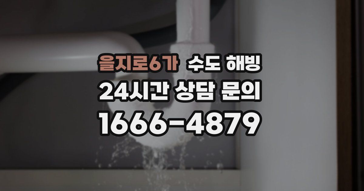 을지로6가 수도 해빙