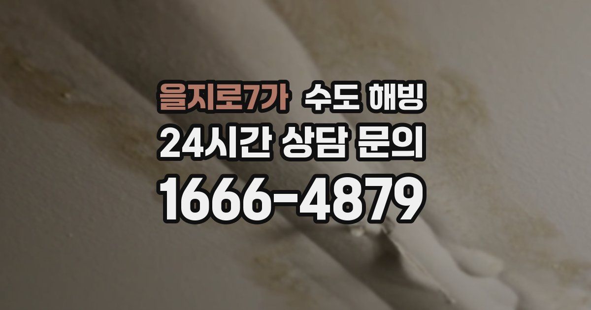 을지로7가 수도 해빙