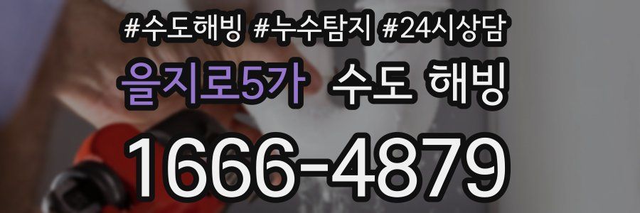 을지로5가 수도 해빙