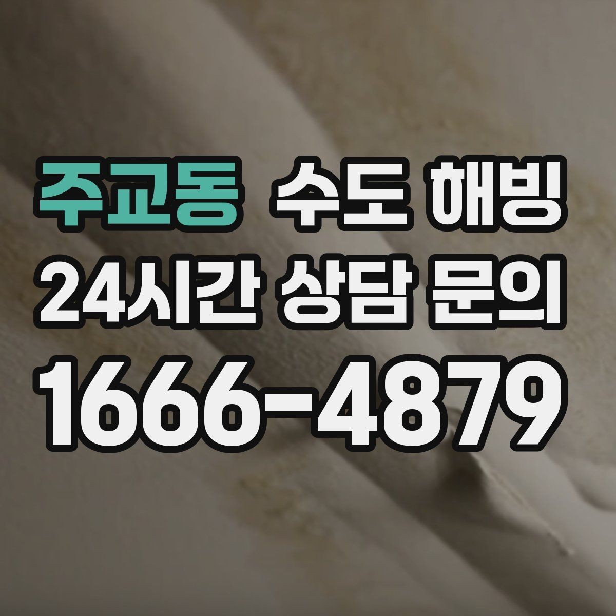 주교동 수도 해빙 만 하고 끝내면 재동파가 오는 이유