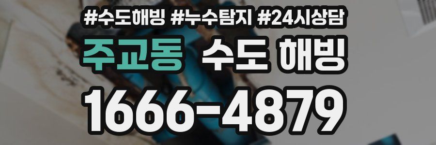 주교동 수도 해빙