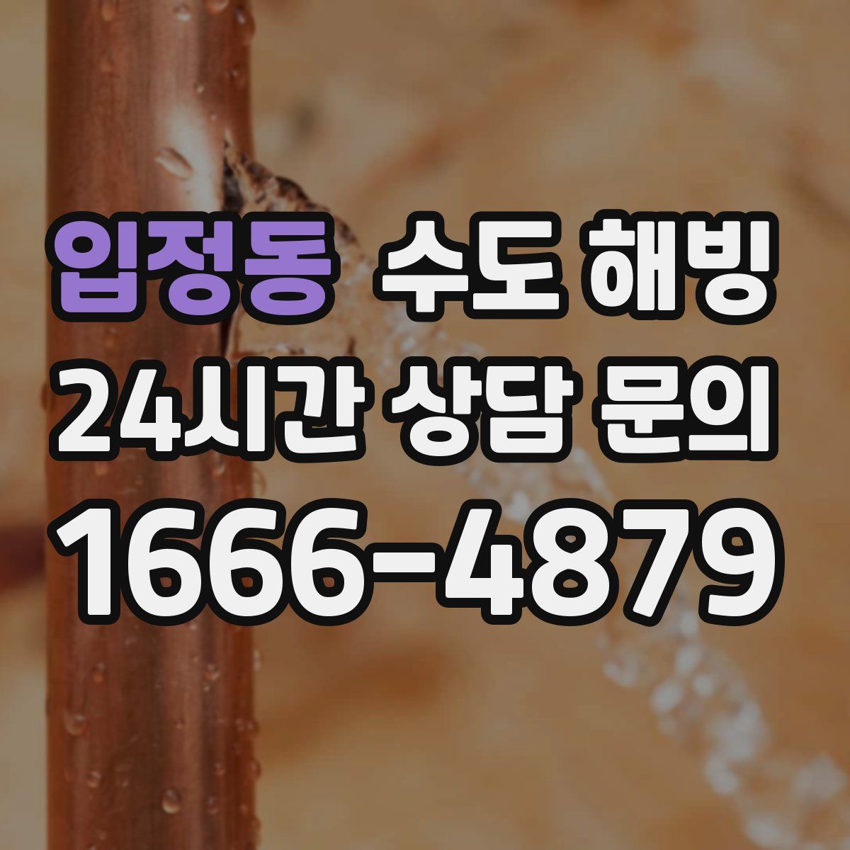 입정동 수도 해빙