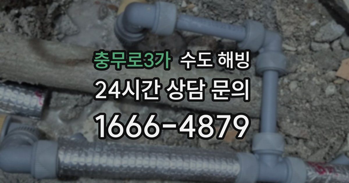 충무로3가 수도 해빙