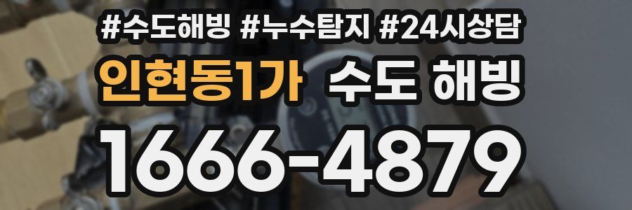 인현동1가 수도 해빙