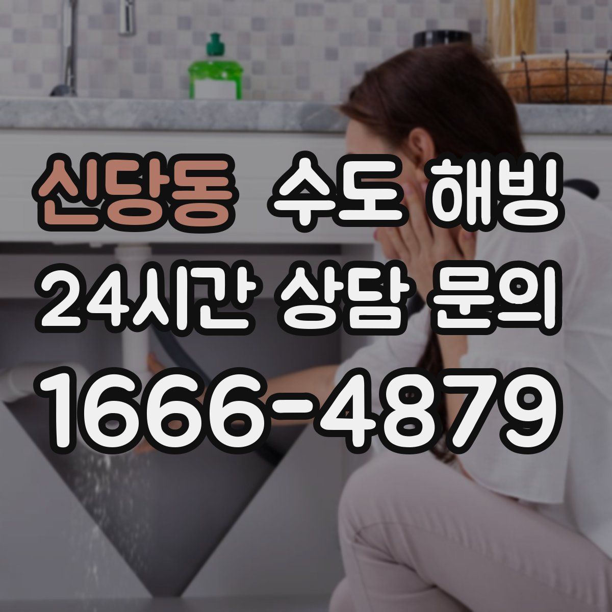 신당동 수도 해빙