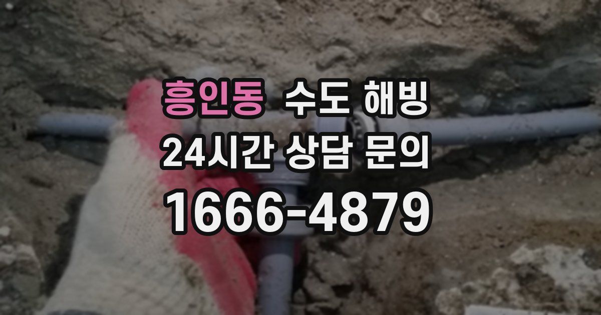 흥인동 수도 해빙