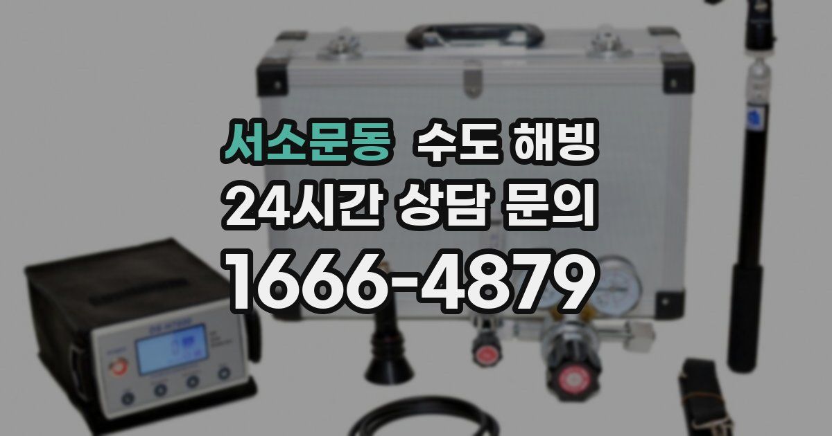 서소문동 수도 해빙