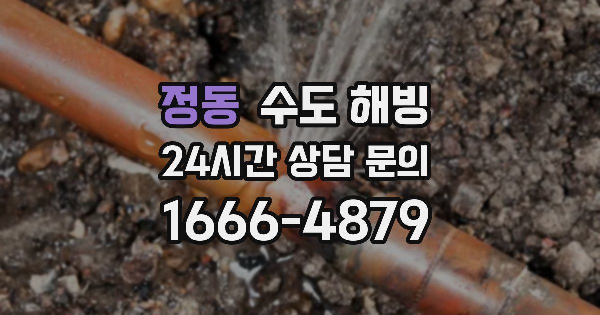 정동 수도 해빙