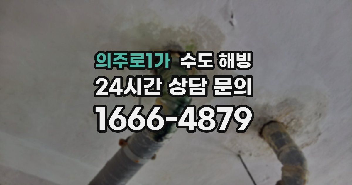의주로1가 수도 해빙