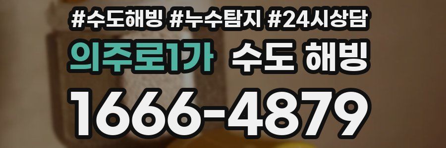 의주로1가 수도 해빙