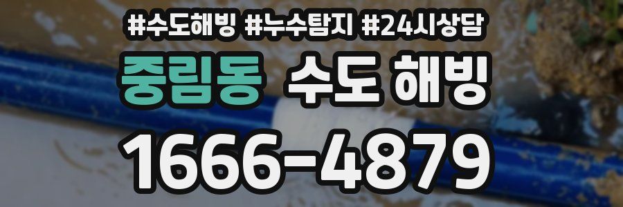중림동 수도 해빙