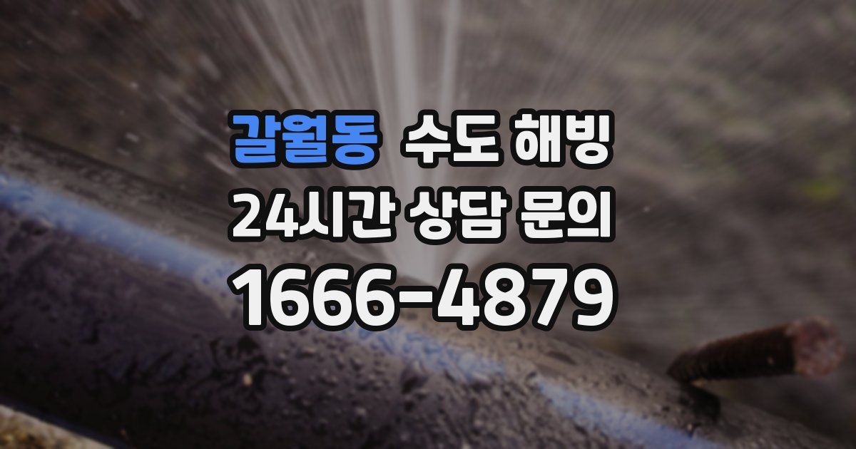 갈월동 수도 해빙