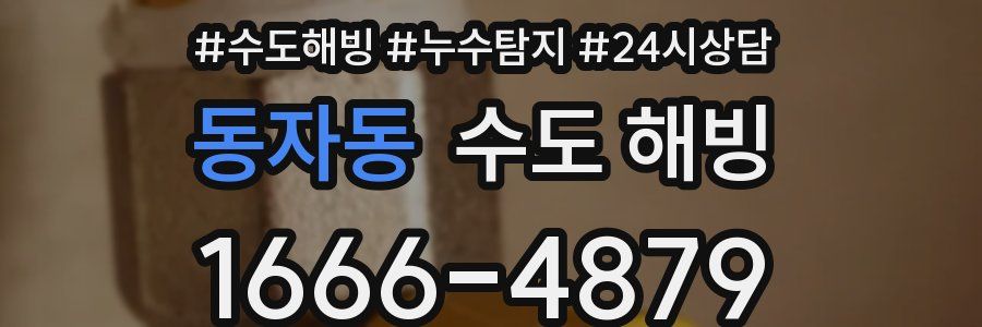 동자동 수도 해빙