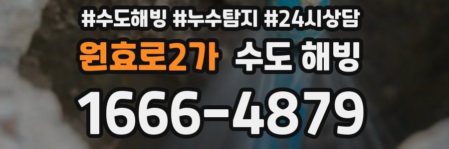 원효로2가 수도 해빙