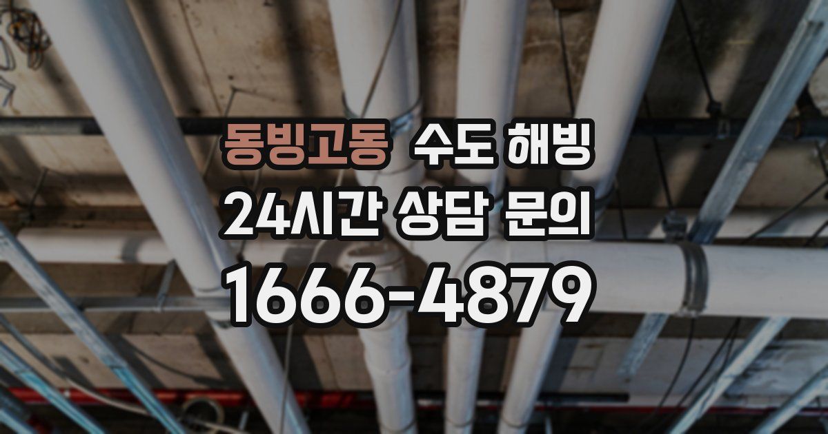 동빙고동 수도 해빙